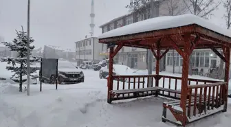 Başçiftlik'te kar yağışı etkili oldu