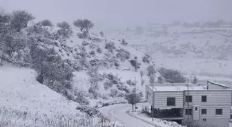 Batman'da 203 yerleşim yerinin yolu kardan kapandı