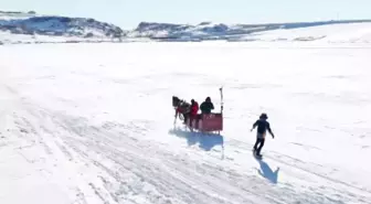 Çıldır Gölü'nde atlı kızakla snowboard