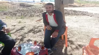 Diyarbakır'daki cinayetin şüphelisi tutuklandı