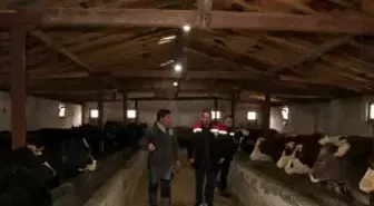 Erzincan'da manda yetiştiriciliği için araştırmalar sürüyor