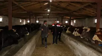 Erzincan'da manda yetiştiriciliği için araştırmalar sürüyor