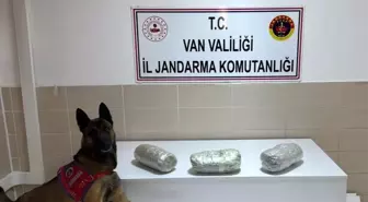 Gevaş'ta 3 kilo esrar ele geçirildi