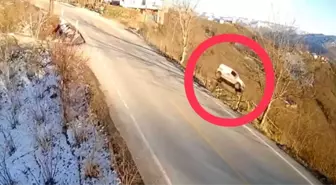 Ordu'da hafif ticari araç fındık bahçesine uçtu