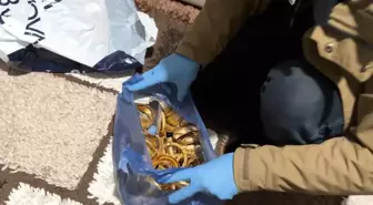 Iğdır'da kuyumcu hırsızlığı: 2 kilo altın ele geçirildi