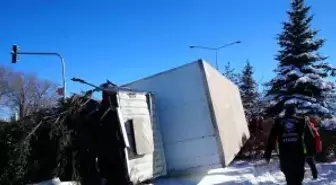 Işıklarda duramayan kamyon devrildi, çarptığı ağacı kökünden söktü