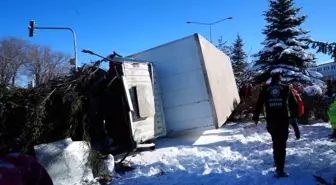 Işıklarda duramayan kamyon devrildi, çarptığı ağacı kökünden söktü
