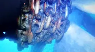 Küçükçekmece'de Alatepe Tankeri pervanesine dolanan zincir su altından görüntülendi