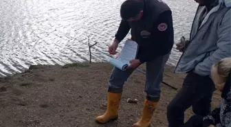 Tekirdağ'da yılbaşı öncesi gıda ve su ürünleri denetimleri sıklaştırıldı