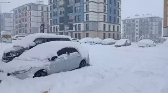 Diyarbakır'da kar esareti