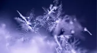 Konya Ereğli okullar tatil mi, 2 Ocak Cuma yarın Konya Ereğli'de okul yok mu (KONYA EREĞLİ - KAR TATİLİ)?