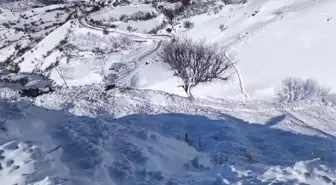 Batman'da ahıra çığ düştü: 44 küçükbaş öldü