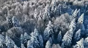Beyaz örtüyle kaplanan Çam Dağı havadan görüntülendi
