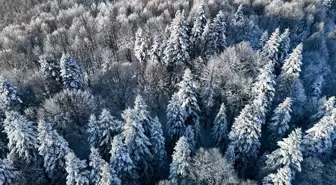 Beyaz örtüyle kaplanan Çam Dağı havadan görüntülendi