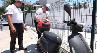 Bodrum'da geçtiğimiz yıl halk sağlığı, doğa ve çevreyi korumaya yönelik işlem yapıldı