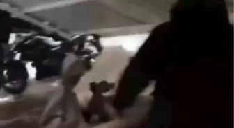 Dicle Üniversitesi'ndeki yurdun otopark çatısı çöktü