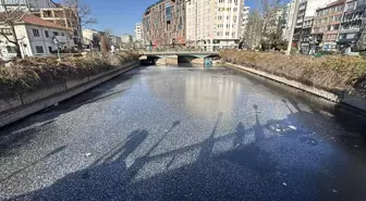 Eskişehir'de güvercinler Porsuk Çayı'nın buz tutan yüzeyinde yiyecek aradı