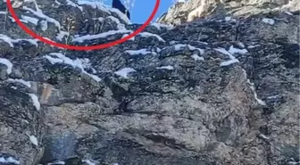 Feke'de dağda mahsur kalan 18 keçi kurtarılmayı bekliyor