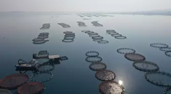 Fırat Nehri'nde ailecek ürettikleri balık ve havyarları ihraç ediyorlar