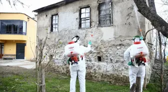 Giresun'da kahverengi kokarcayla mücadele dört koldan devam ediyor