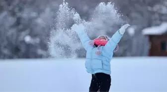 Hangi illerde okullar tatil oldu? 2 Ocak Cuma günü hangi illerde okullar tatil edildi?