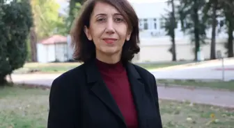 Küresel ısınma influenza virüsünü de etkiledi; ekim ayında başlayan yayılım aralık ayına sarktı