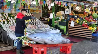 Samsun'da 353 kilogramlık orkinos 400 liradan satışa sunuldu