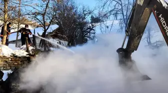 Sinop'ta ahırda çıkan yangında 9 büyükbaş hayvan telef oldu