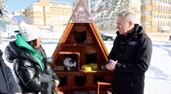 Sivas Belediyesi kedi evlerine mama bıraktı