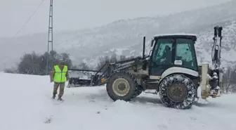 Tunceli'de ekipler yolu kardan kapanan köydeki hasta inek için seferber oldu