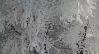 Adana Tufanbeyli'de termometreler eksi 28 dereceyi gösterdi