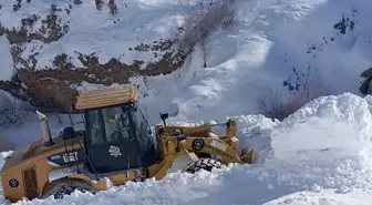 Ağrı'da çığ yüzünden kapanan köy yolu yeniden ulaşıma açıldı