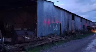 Alanya'da palet fabrikasında çıkan yangın söndürüldü