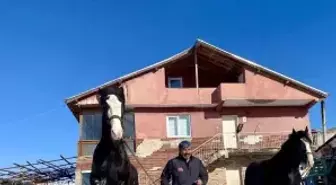 Ankara'da sıra dışı yaşam: Onlarca hayvanla ortak hayat kurdu