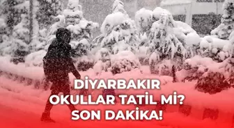 Diyarbakır okullar tatil mi, 5 Ocak Pazartesi Diyarbakır kar yağışı okullar tatil mi? Diyarbakır Valiliği kar tatili açıklaması!