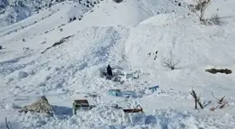 Hakkari'de 32 arı kovanı çığ altında kaldı