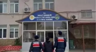 İki ayrı suçtan aranan şahıs Nazilli'de yakalandı