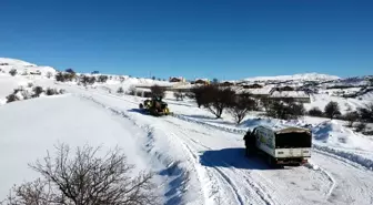 İş makinesi karlı yolları açıyor, ekipler sahipsiz hayvanları besliyor