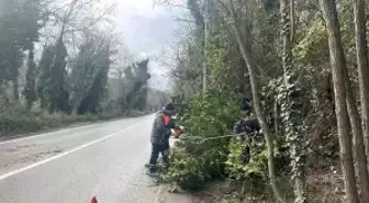 İstanbul için lodos uyarısı: Kuvvetli fırtına etkili olacak