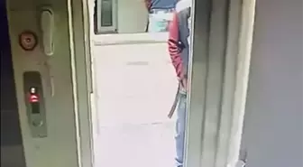 Kaskla apartmana giren şüpheli idrarını yapıp, damdaki kuşları çaldı; o anlar kamerada
