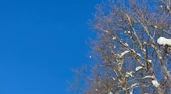Kastamonu'da yolu kardan kapanan köydeki hastanın ilaçları dronla ulaştırıldı