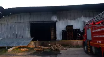 Mersin'de narenciye paketleme fabrikasında çıkan yangın söndürüldü