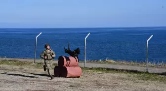 MSB'den Askeri Köpekli Timlerin Eğitimine İlişkin Paylaşım