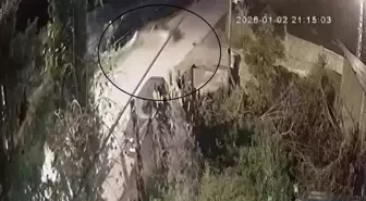 Otomobilin su kanalına uçtu: 3 yaralı