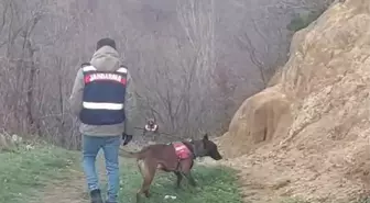 Sırra kadem basan Elif'i arama çalışmaları 7'nci gününde; dijital verilerden de sonuç alınamadı