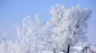 Sivas'ta Soğuk Hava Güzel Görüntüler Oluşturdu