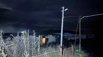 Uşak'ta boş tavuk çiftliğinde çıkan yangın korkuttu