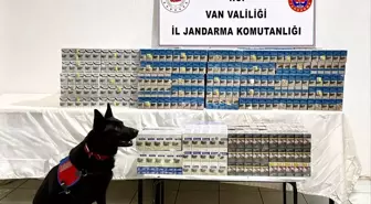 Van'da 8 bin 200 paket gümrük kaçağı sigara ele geçirildi
