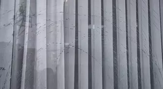 Adana'da iş yerinin camına kaldırım taşıyla saldırı anı kamerada