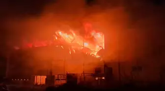 Antalya'da soğuk hava deposunda yangın